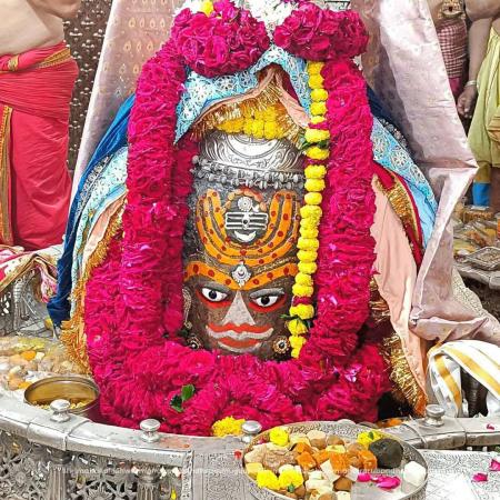 Lawyer Profile Image